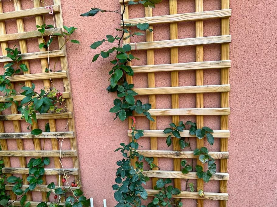 Moderne Mini Maison Lézignan-Corbières Exterior foto