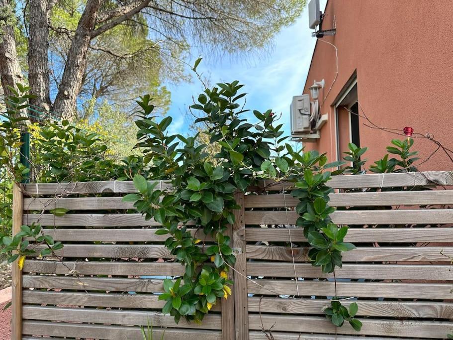 Moderne Mini Maison Lézignan-Corbières Exterior foto